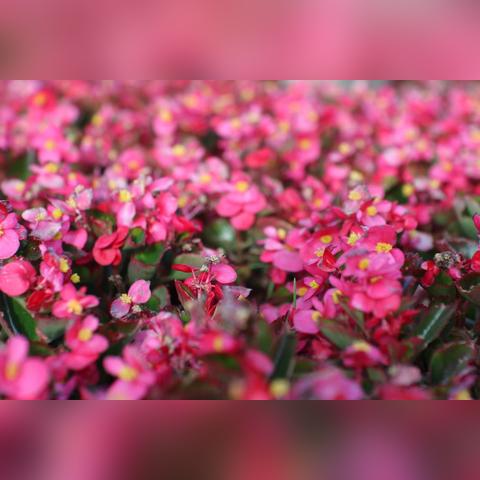 兰州市保利篮球馆在哪里