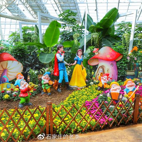 石家庄市有什么小黄车卖