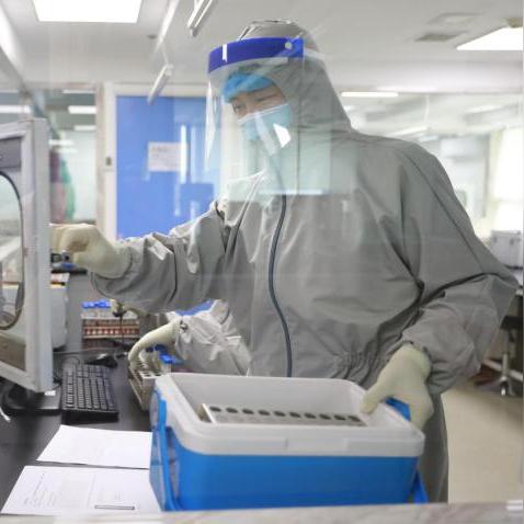 沈阳市高等人才怎么认定