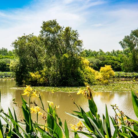 广州市看海什么意思