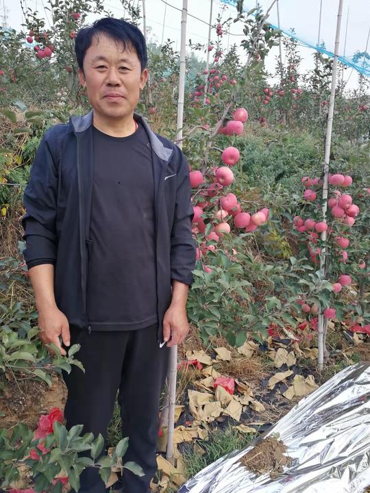 “为”有壮志行奋进书春秋—大连多可利食品有限公司总经理姜为民