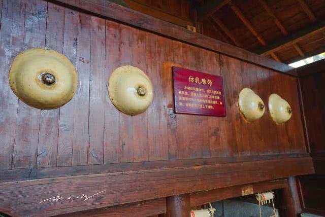 女性乳房有哪些形状 女性乳房有哪些形状