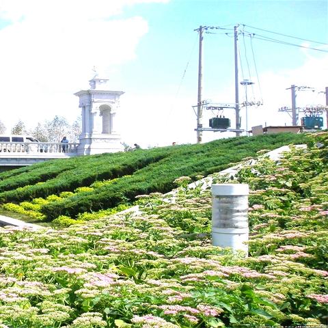 哈尔滨市哪里的省会城市