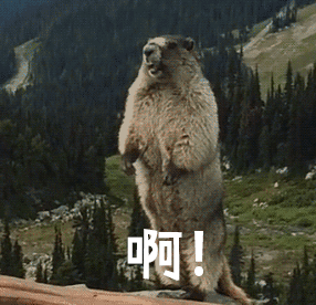 尖叫土拨鼠表情包抽搐gif动图