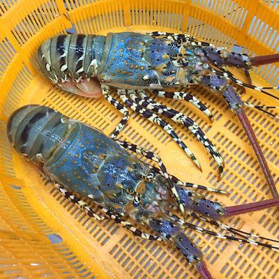 厦门毛细管的相关长尾关键词有哪些