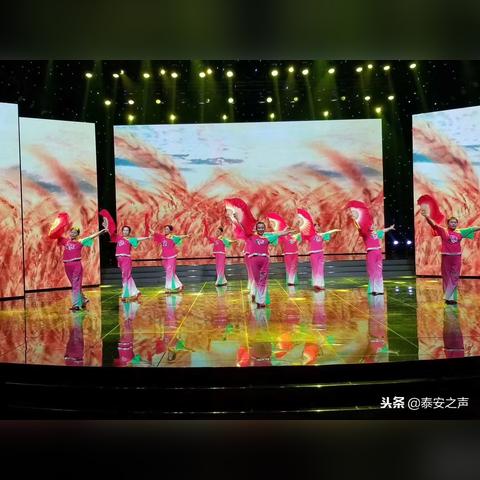 山东威海的盛泉集团有人了解吗？