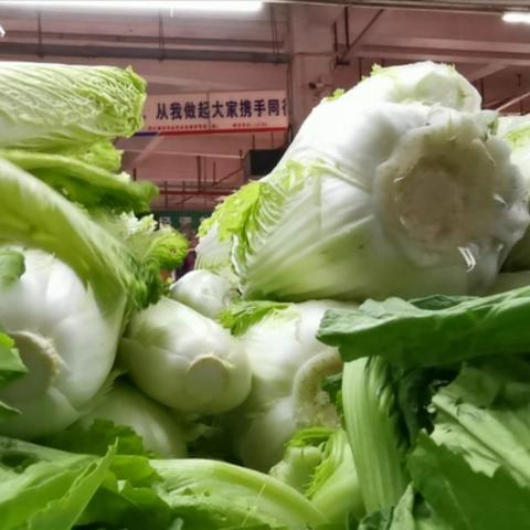 南宁市哪个区种植蔬菜多