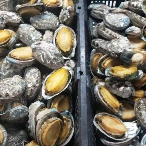 广州市移动有什么套餐
