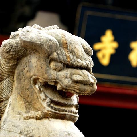 少林传人：武学巅峰的修行之路