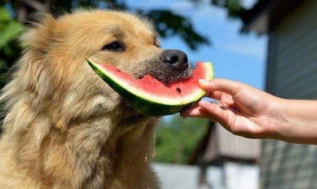 夏天孩子最容易得什么病
