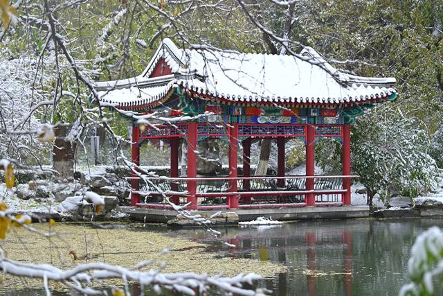 2021第一场雪朋友圈说说句子 2021第一场雪朋友圈说说句子