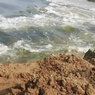 河南疫情预的相关长尾关键词有哪些