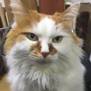 潍坊市潍坊凳子事件详情的长尾关键词有哪些