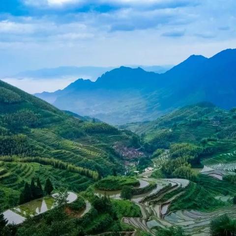 云和县属杭州市哪个区域