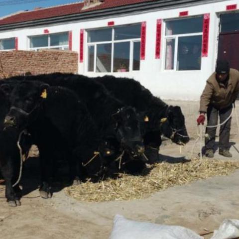 乐回收南宁的相关长尾关键词有哪些