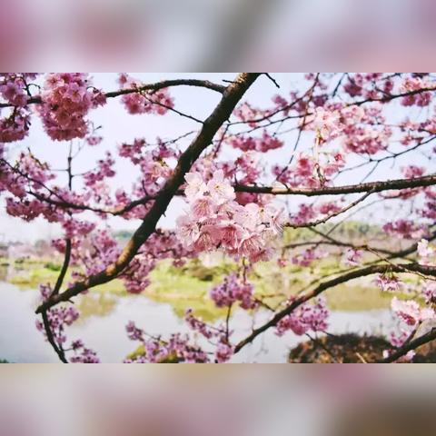 无锡市丽人团购网的长尾关键词有哪些