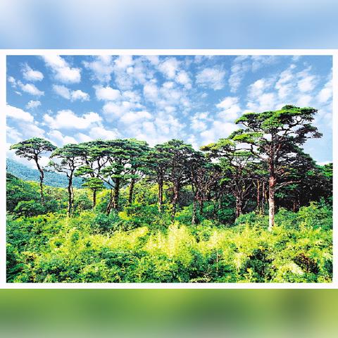 导航到桂林生态公园相关长尾关键词有哪些