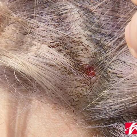 树木岭属于长沙哪个区？