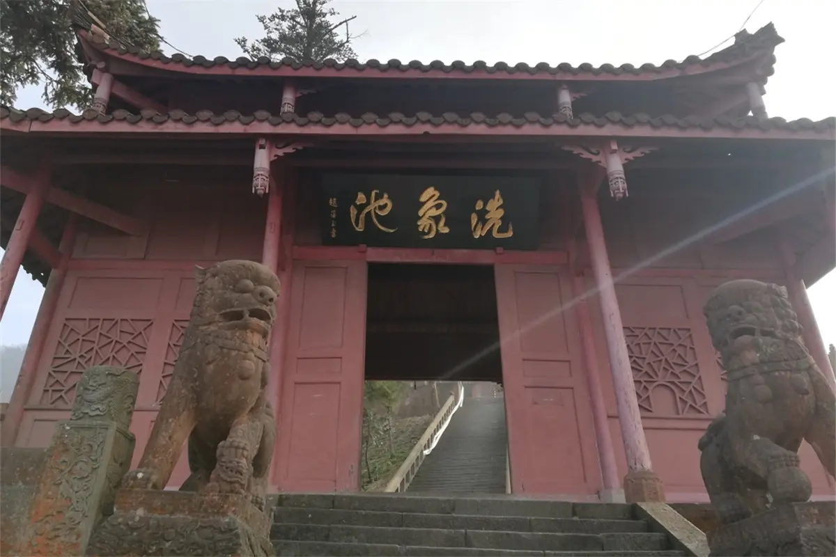 一岁的宝宝能吃虾皮吗 一岁半宝宝可以吃虾皮吗
