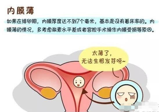 什么原因会引起胎停育