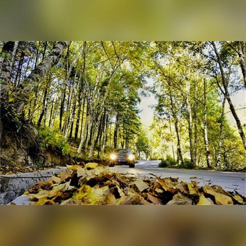 电影彩虹虹桥2免费观看的长尾关键词有什么