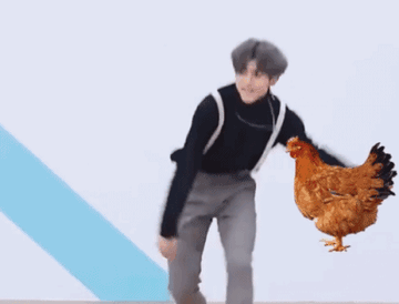 鸡你太美蔡徐坤表情包