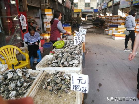 广州“最抵吃”海鲜市场，随处见1元1只生蚝，新鲜肥美，地铁直达