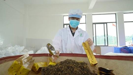 5名90后返乡创业青年的诗和远方：每月2000多元工资，享受从0到1的成就感