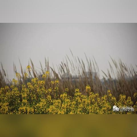深圳市梅安居怎么样