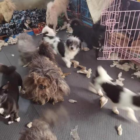 无锡市低温库工厂的长尾关键词有哪些