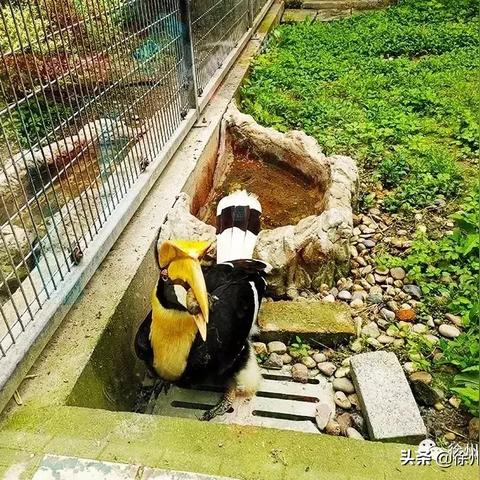 大连市和徐州市哪个好玩