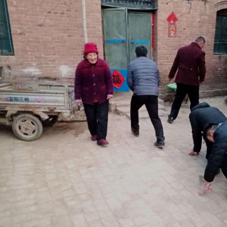 农村河南养点什么好