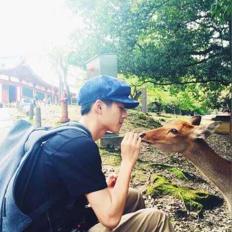 家乡互动涨近10%再破顶，中原证券称看好游戏公司2020Q1业绩，怎么看？