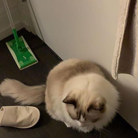 淘零食网站的长尾关键词有哪些
