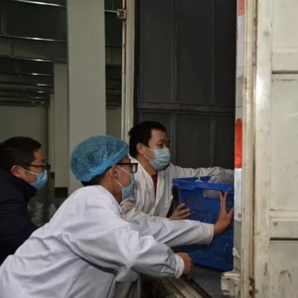 武汉中药疫情的长尾关键词有什么