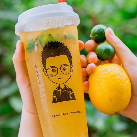 茉莉哈尔滨市哪里有卖呀