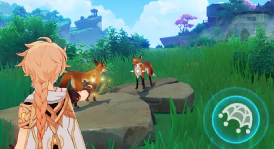 原神埃洛伊怎么得2022(原神早柚如何抓晶核)