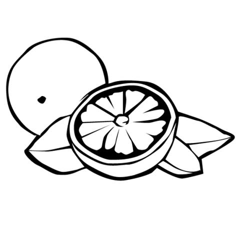 1一3岁宝宝简笔画(1一3岁宝宝简笔画苹果)