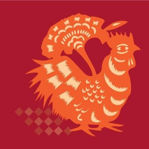 生肖猪命理运势查询大全(生肖猪年运势大全)