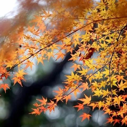 长沙市内国道107为什么有两条