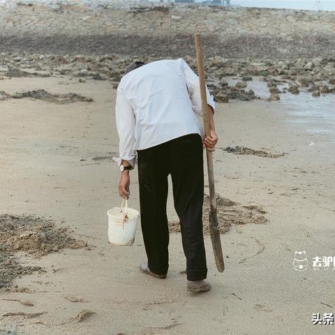 厦门市渔民都捕什么鱼