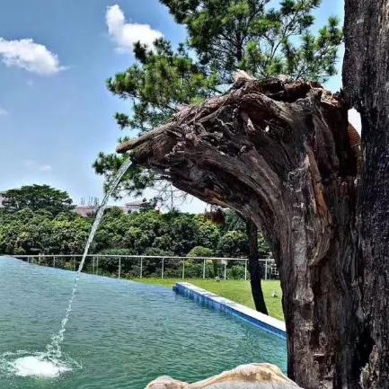 沈阳市秘境花园在哪个区