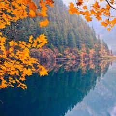 寄海外电商物流费用多少 相关的长尾关键词有哪些 