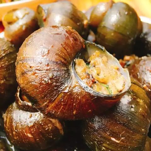 桂林市哪里有学做豆腐的