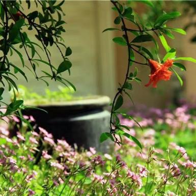 2025.12.20济南今日穿衣指南