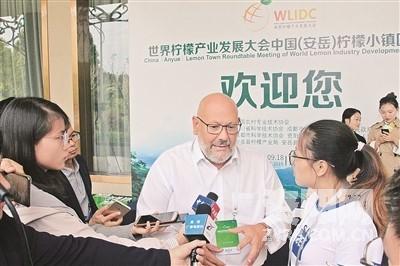 花卉幼苗柠檬盆栽图片,柠檬种植方法?