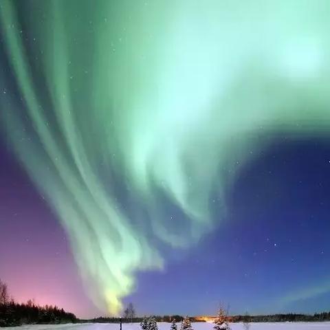 沈阳市世博园在哪个区