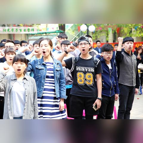 大连市联考什么软件查分