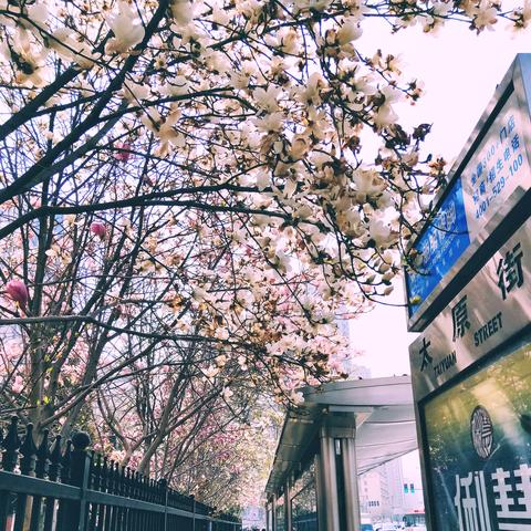 太原到大连旅行社的相关长尾关键词有哪些