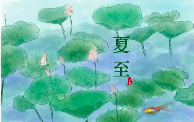 夏至节气的特点是什么